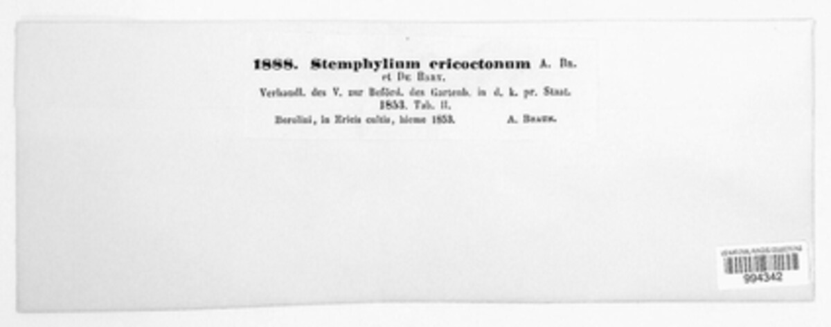 Stemphylium ericoctonum image